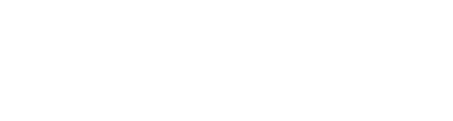 Directo Seguros